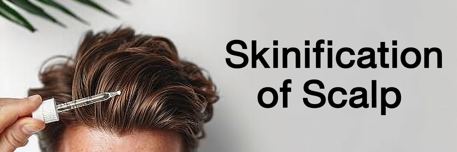 Skinification 1
